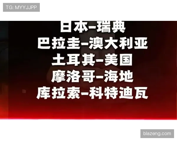 荷兰、日本、瑞典、突尼斯竞争格局分析